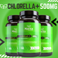 Marita Chlorella + Organic Silicon